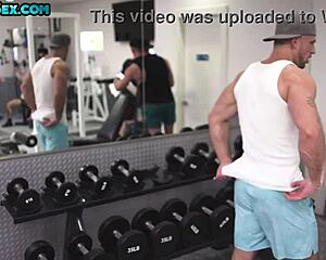 Muscularly built hunks can be seen fucking asses and anals of one another in gay porn video