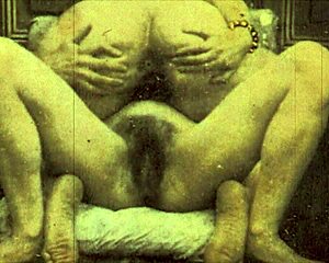 Vintage porn: Game of wits and hairy pussy