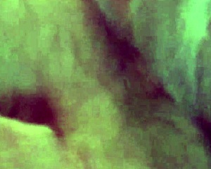 grandpa gives advice in orlando to appreciative top