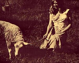 Vintage Babes with Hairy Bodies and Natural Tits in Retro Action with Pets