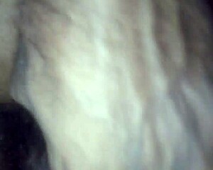 with mother-in-law and aunt