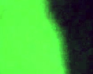 Phat Booty Thot Takes Monster Cock Doggystyle