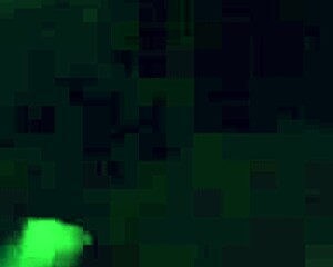 Culo gordo thot toma polla monstruosa a perrito