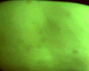 latina teen gives intense blowjob in game