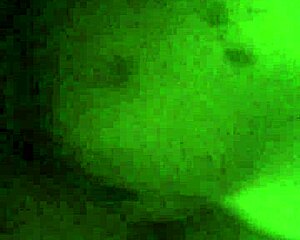 my sexy girl totally rocks at fucking and sucking cock in doggystyle 😈💦