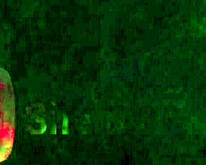 Intense Emotions In Shemale Riding Transsexual Passion