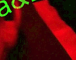 un paseo super rico en cabinas con grupo mexicano amateurs swingers