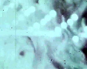 In 1860 versus 1960, vintage nostalgia captures mature hairy antiques.