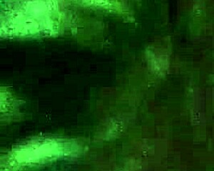 Amateur Couple Performs Creampie Action in Intimate Setting