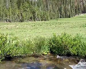 Blonde sucks cock intensely by Lake Tahoe
