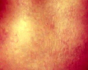 Puerto Rican Girl's Amateur Anal Fuck