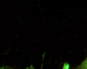 Busty Russian Shy Girl's Passionate Blowjob And Titty Fuck