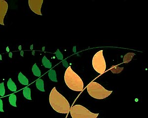 Tessa Enjoys A Night Out With Amateurs