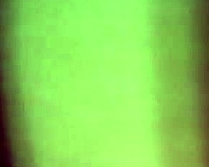 Get Your Ass Back Here Now