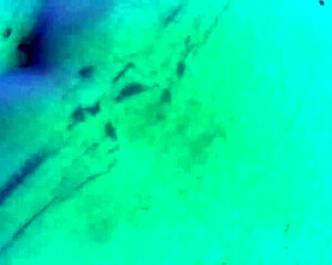 milf blonde relaxes on gym tanning bed, pleasuring herself quietly