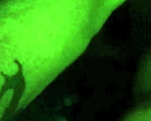 feeling intense passion while fucking brittney