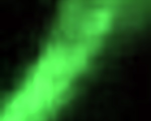 amateur fun home video