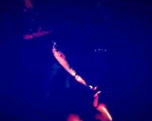 Fat Ebony BBW Amateurs Fucking Intensely On Borrowed Time