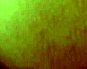 step sister fights for affection