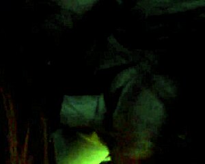 Mature Wife Delivers Intense Blowjob To Amateur