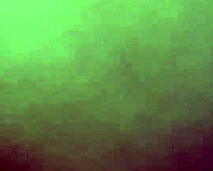 my guadalajara girl's ass is so hot 😍