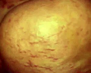 Hot Threesome with Big Tits Bent Over and Riding