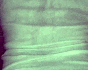 gay dom top fucks fat booty bottom and cums 😈