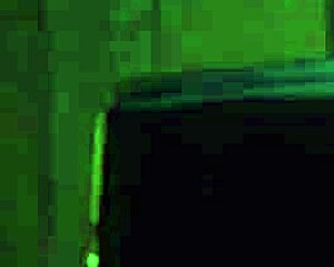 delphine jewelz blu and kayley gunner fulfill metaverse desires