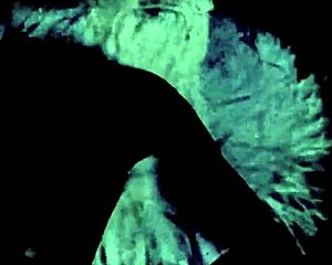 וינטג' כריסמס לסביות רוחות רודפות את העבר