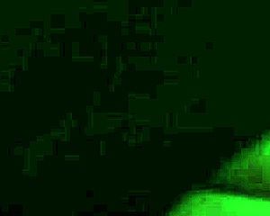 i'm riding that fat ass cowgirl style