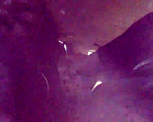 enjoying a big outdoor meal with friends in the park