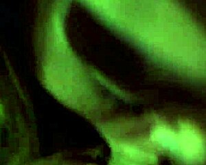 vid from november 28, 2016, at 3:31 am