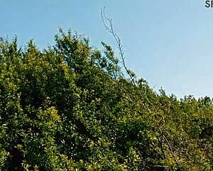 Amanda Clarke's Intense Casting Blowjob