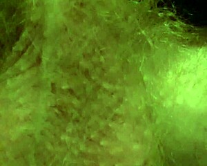 Massive Cock Stretches Tight Holes