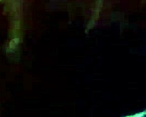 interracial blowjob with brunette sucking cock