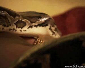 My Indian seduction unfolds with a slow, teasing striptease from Bollywood's heart.