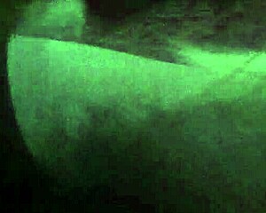 Blonde With Big Tits Gives Suggestive Blowjob