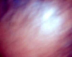 San Antonio Girl Sucks Big Cock Really Well