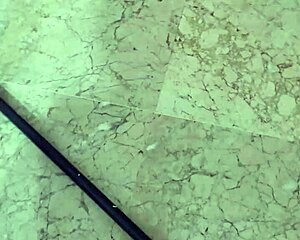 Coolmarina the whore loves the fattest mature sensual prostitute 😘