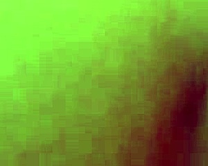 A group of amateurs performs trios in Quito