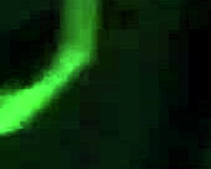 Ex girlfriend sucking cock suggestively in intimate moment