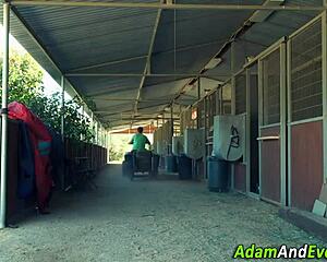 hottie rides cock for cum in hardcore handjob session