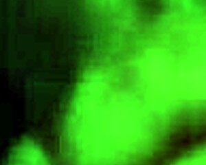 Ex girlfriend sucking cock suggestively in intimate moment