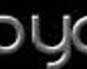 Hardcore lesbians get rough and horny with tits and ass