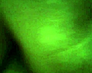 wife preparing for her morning routine