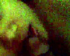 Asian milf contrasts with teen 18+ lover in sucking and fucking