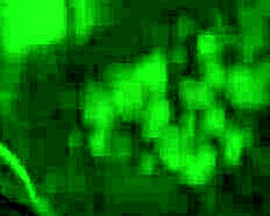 Bitchy Latina Boss Annie Marin Fucked By Lazy Worker Dani Clark