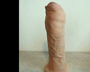 Detailed Artistic Painting Of A Realistic Prosthetic Penis Model