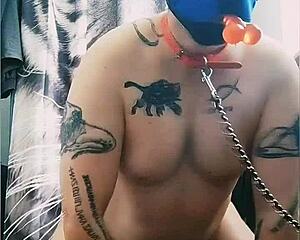 gaywolf getting kinky with the big mastino