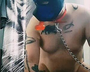 gaywolf getting kinky with the big mastino